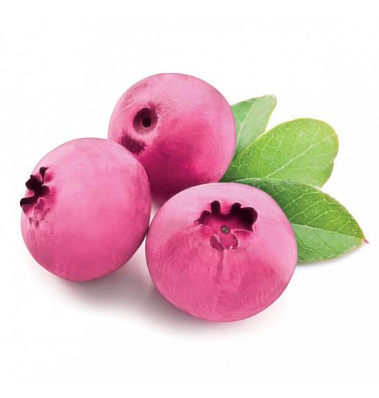 Vaccinium corymbosum Ružičasta limunada C2 Lit. 20 cm