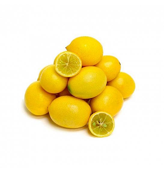 Citrus floridana Limequat Ø14x14 Na steblu 15 cm