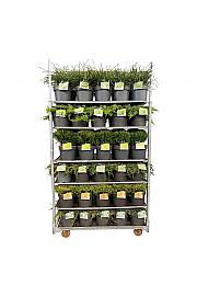 Kolica s mješavinom četinjača 1 CC