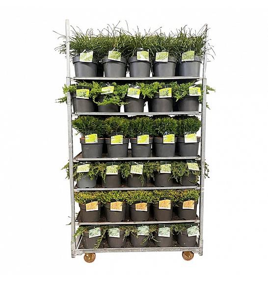 Kolica s mješavinom četinjača 1 CC