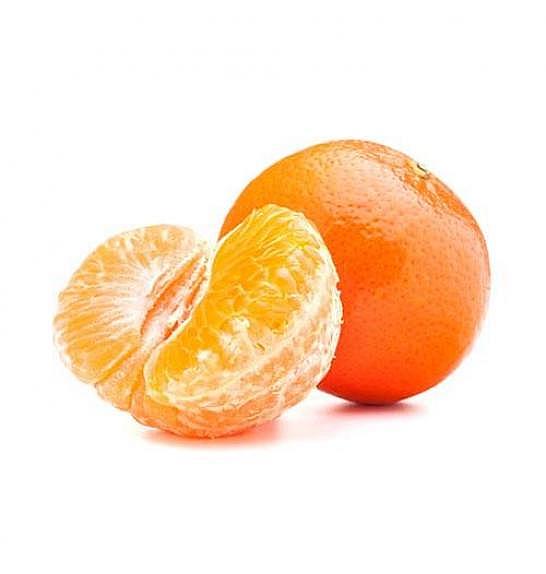 Citrus reticulata Mandarina Ø 50 Na stabljici od 60 cm