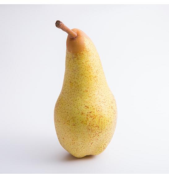 Pyrus communis Gellert's Butterberry C10 Lit. 125-150 cm