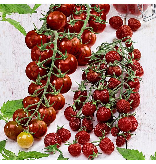 Paradižnik Tutti Frutti Deep Red Desire F1 Ø 10,5