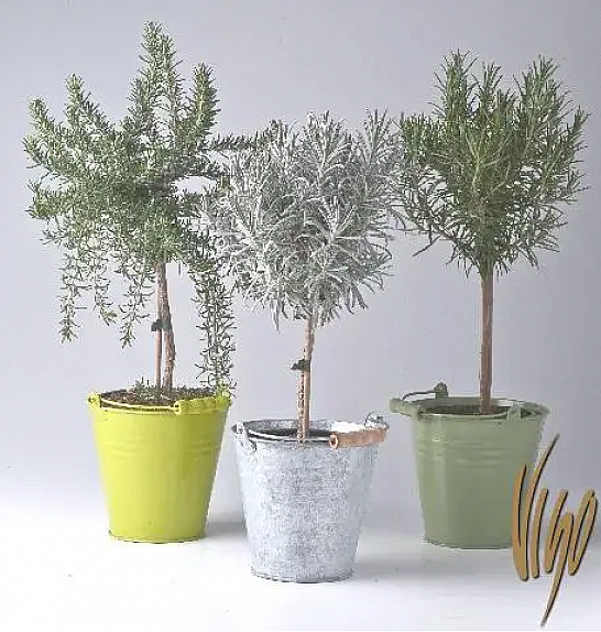 Dišavnice Ø14 mix Na steblu barvni kovinski lonček