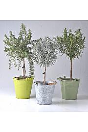 Dišavnice Ø14 mix Na steblu barvni kovinski lonček