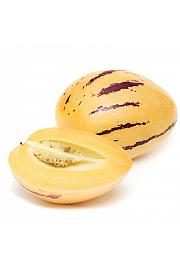 Solanum muricatum Pepino GOLD Kruška dinja Ø12