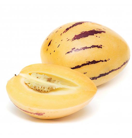 Solanum muricatum Pepino GOLD Kruška dinja Ø12