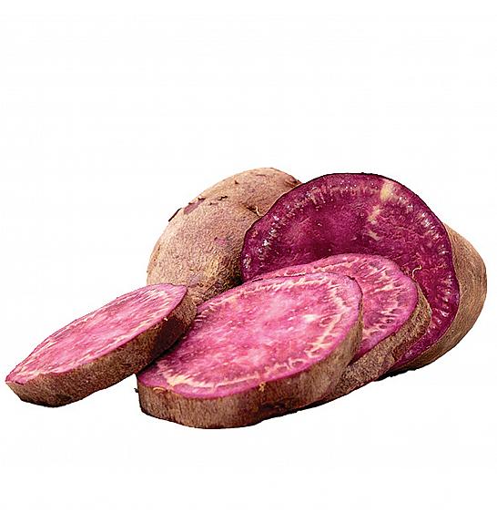 Batat Ipomoea batatas Sakura Ø10,5