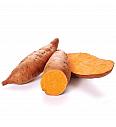 Slatki krumpir Ipomoea batatas Beauregard Ø10.5