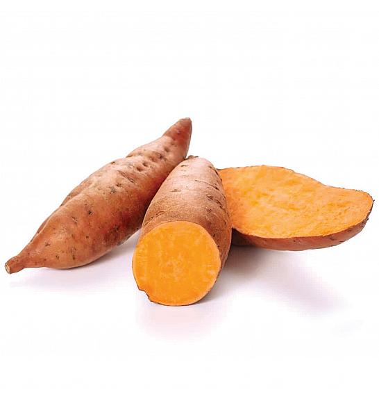 Slatki krumpir Ipomoea batatas Beauregard Ø10.5