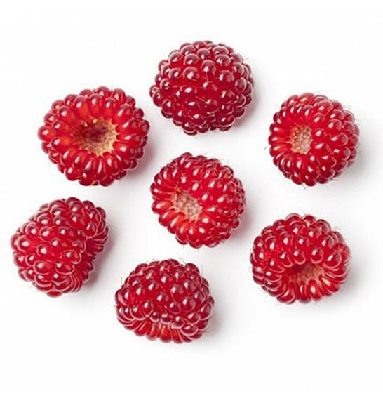 Rubus phoeniocolasius C2 Lit. 30-40 cm