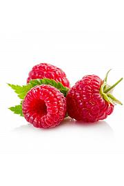 Rubus idaeus Zefa C2 Lit. 30-40 cm