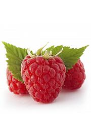 Rubus idaeus Heritage C2 Lit. 30-40 cm