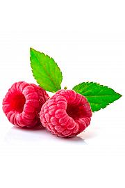 Rubus idaeus Enrosadira® C2 Lit. 30-40 cm