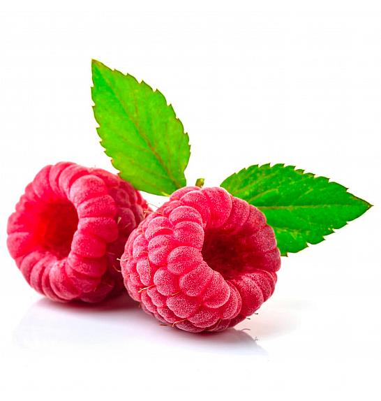 Rubus idaeus Enrosadira® C2 Lit. 30-40 cm