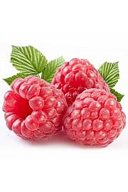 Rubus idaeus Autumn Bliss C2 Lit. 30-40 cm