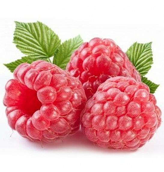 Rubus idaeus Autumn Bliss C2 Lit. 30-40 cm