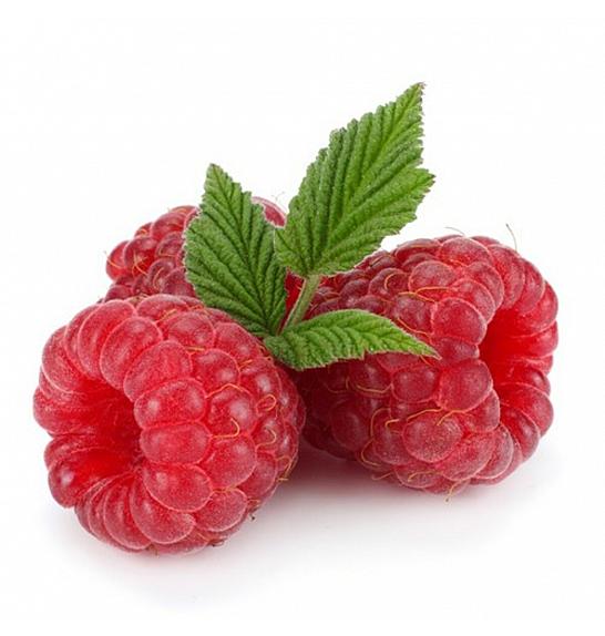 Rubus idaeus Willamette C2 Lit. 30-40 cm