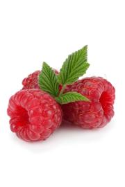 Rubus idaeus Willamette C2 Lit. 40-60 cm