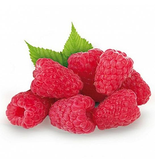 Rubus idaeus Tulameen C2 Lit. 30-40 cm