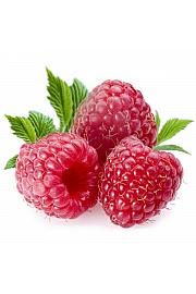 Rubus idaeus Meeker C2 Lit. 30-40 cm