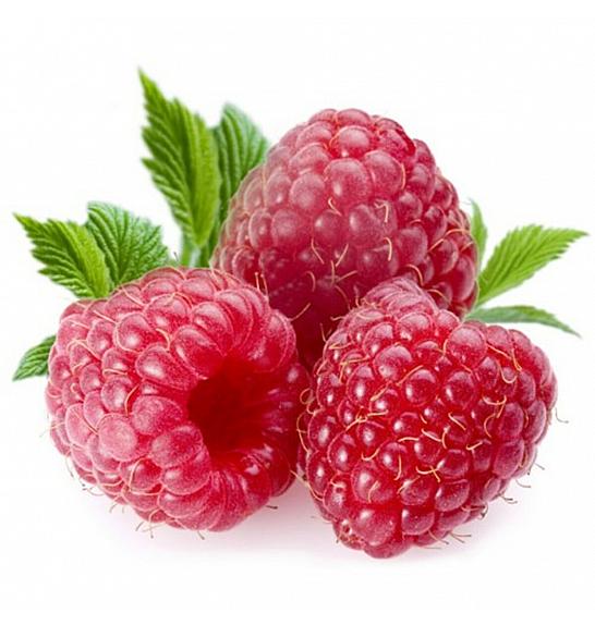 Rubus idaeus Meeker C2 Lit. 30-40 cm