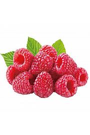 Rubus idaeus Glen Ample C2 Lit. 30-40 cm