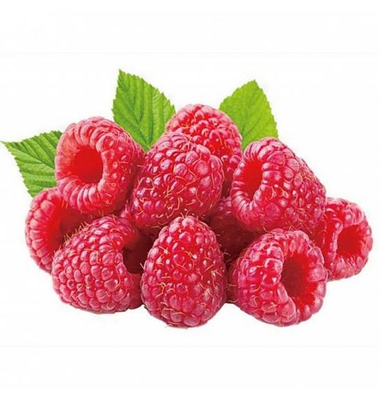 Rubus idaeus Glen Ample C2 Lit. 30-40 cm