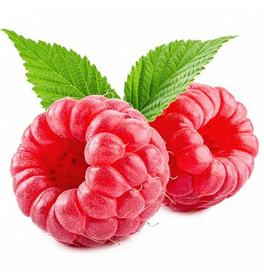 Rubus idaeus Schoenemann C2 Lit. 30-40 cm