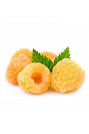 Rubus idaeus Golden Everest C2 Lit. 30-40 cm