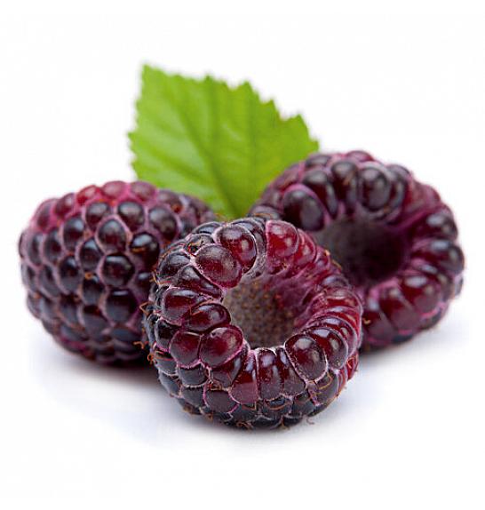 VE-BO FRUIT Rubus idaeus Glen Coe