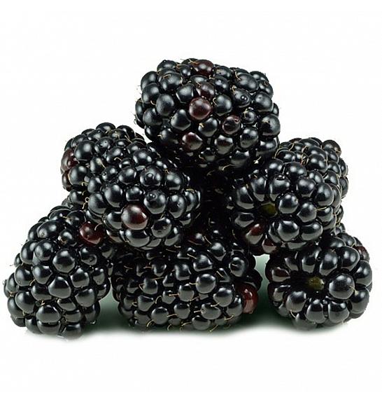 Rubus fruticosus Black Satin C2 Lit. 30-40 cm