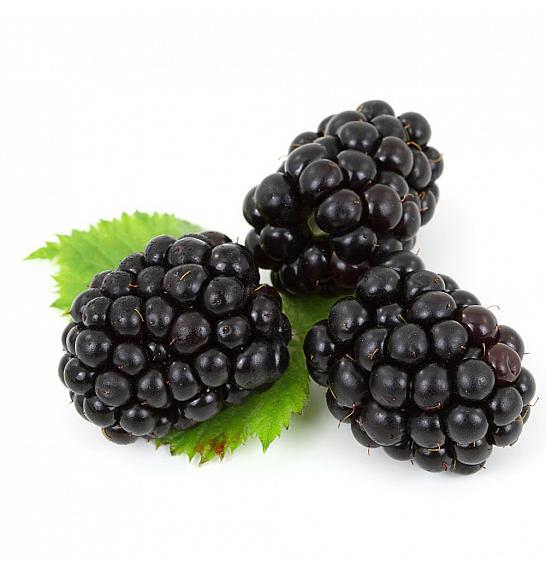Rubus fruticosus Little black prince C2 Lit. 30-40 cm