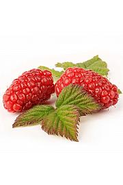 Rubus Buckingham Tayberry C2 Lit. 30-40 cm