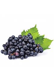 Vitis vinifera Smeralda C4 Lit. 125-150 cm