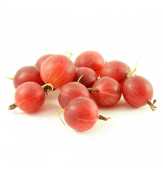 Ribes uva crispa Pax C2 Lit. 30-40 cm