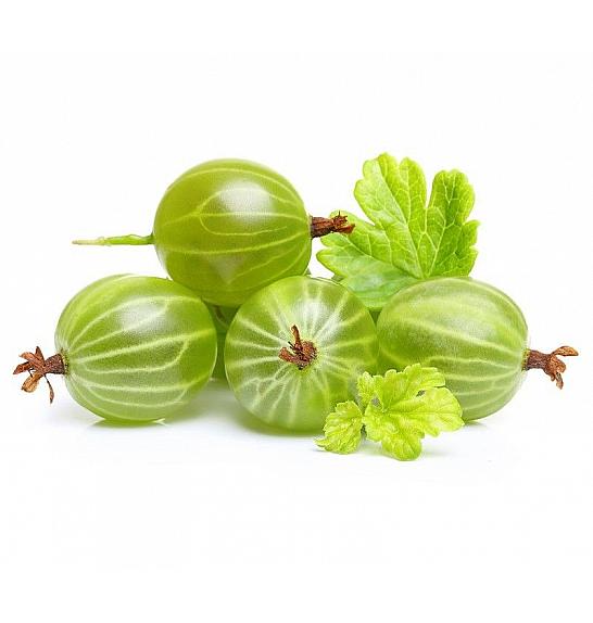 Ribes uva crispa Hinnomaki Green C2 Lit. 30-40 cm