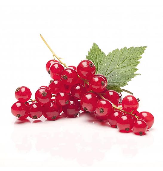 Ribes rubrum Junifer C2 Lit. 30-40 cm