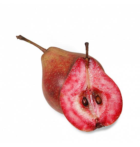 Pyrus communis Sommerblutbirne C5 Lit. 60-80 cm Stebričasta