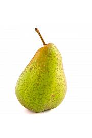 Pyrus communis Saphira C5 Lit. 60-80 cm stupast