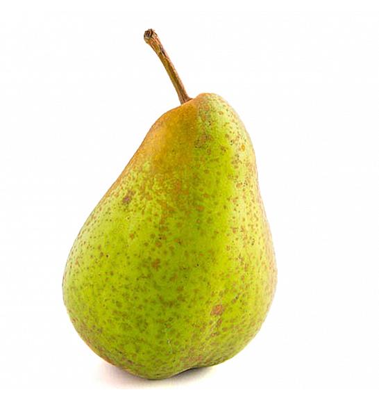 Pyrus communis Saphira C5 Lit. 60-80 cm stupast