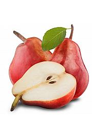 Pyrus communis Red Williams C7,5 Lit. 125-150 cm