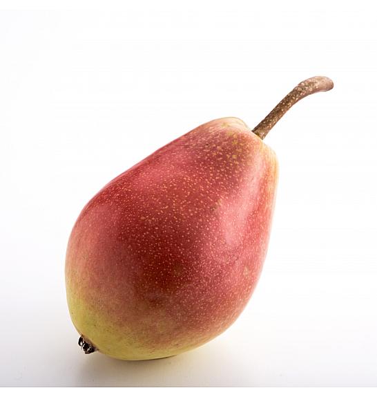 Pyrus communis Gute Luise C5 Lit. 80-100 cm