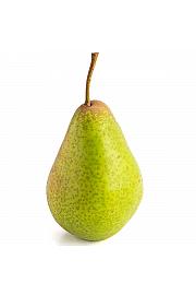 Pyrus communis Decora C5 Lit. 60-80 cm stupast