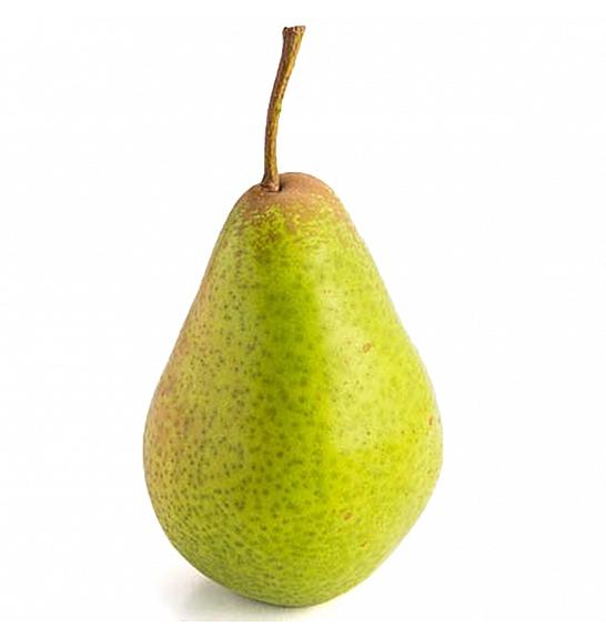 Pyrus communis Decora C5 Lit. 60-80 cm stupast