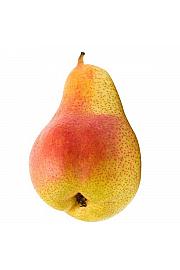 Pyrus communis Bonne Louise dAvranches C7,5 Lit. 125-150 cm