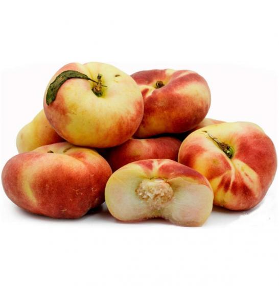 Prunus persica Saturn C7,5 Lit. 175-200 cm Na steblu 100 cm (55738)