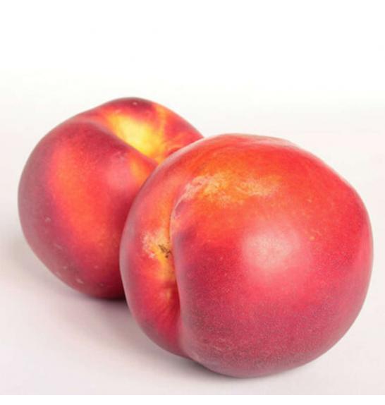 Prunus persica Independence C5 Lit. 60-80 cm Stebričasta