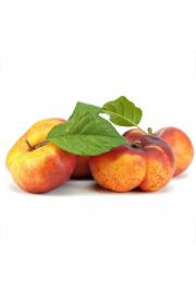 Prunus nucipersica Flateryna C7,5 Lit. 175-200 cm Na steblu 100 cm