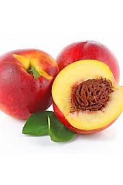 Prunus nucipersica Fantasia C5 Lit. 60-80 cm Stupasta